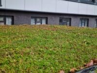 Sedum Roof Bin Store - Image 4