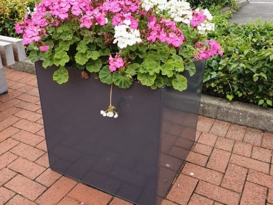 Commercial Planter System - Image 4